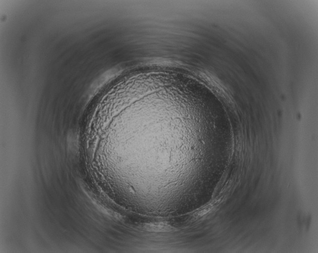 X0000086300112200704091031