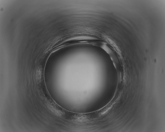 X0000086300113200704091031