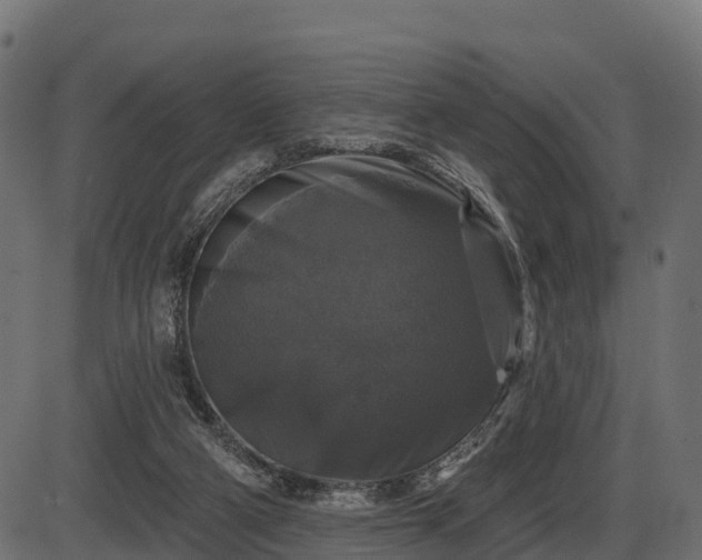 X0000086300114200704091031