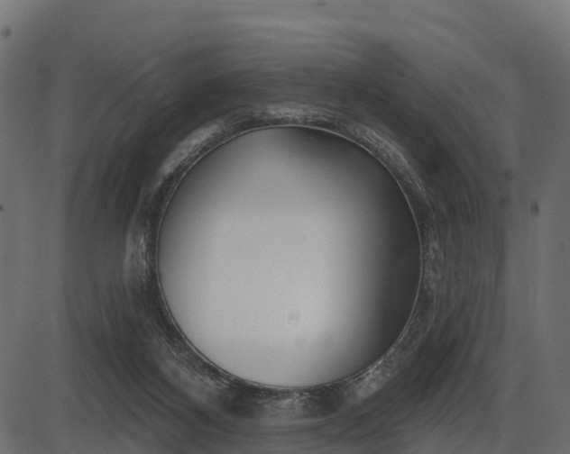 X0000086300116200704091031