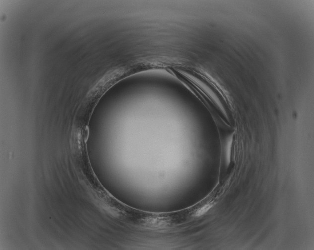 X0000086300117200704091031