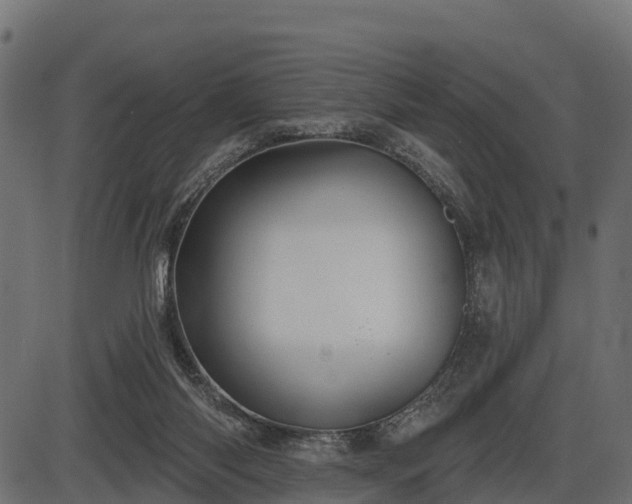 X0000086300118200704091031