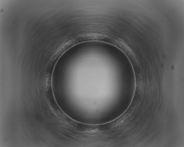 X0000086300119200704091031