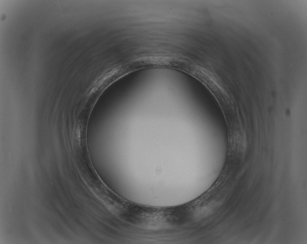 X0000086300120200704091031