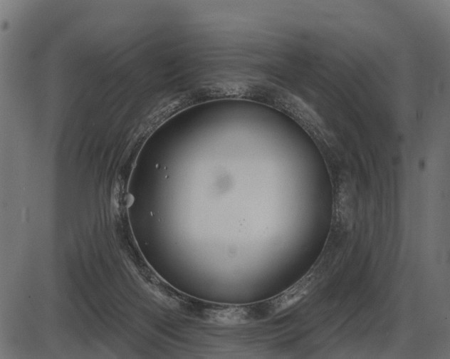 X0000086300122200704091031