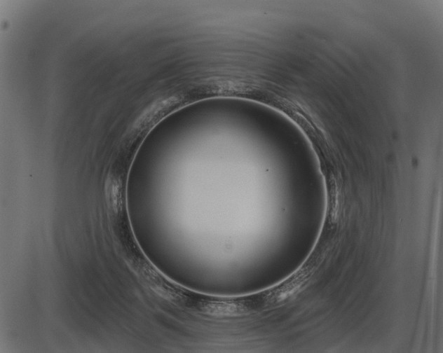 X0000086300123200704091031