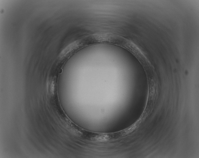 X0000086300124200704091031