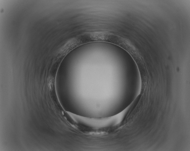 X0000086300125200704091031