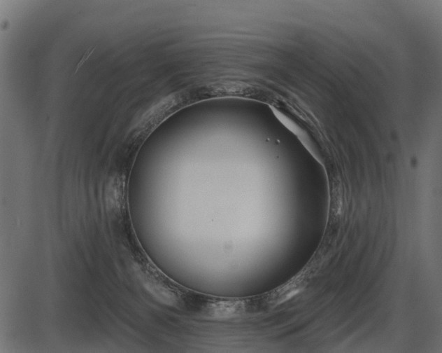 X0000086300126200704091031