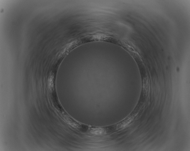 X0000086300127200704091031