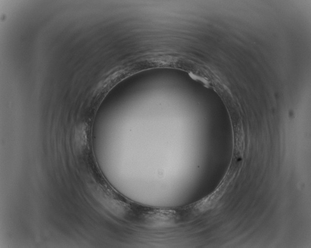 X0000086300128200704091031