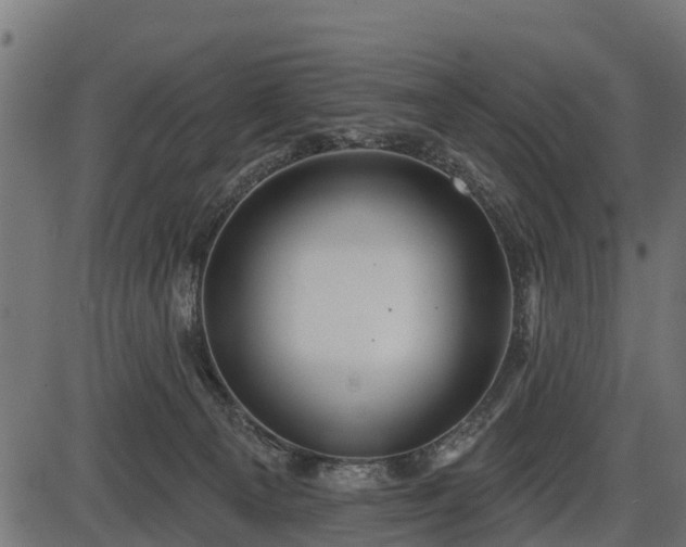 X0000086300129200704091031