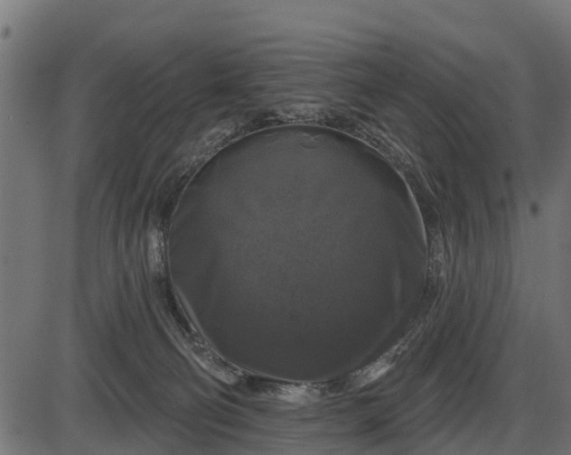 X0000086300130200704091031