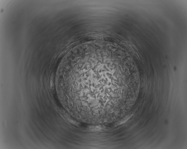 X0000086300131200704091031