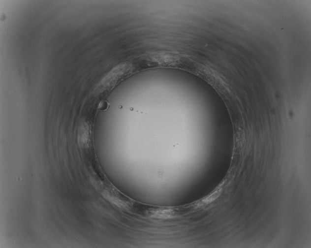 X0000086300132200704091031