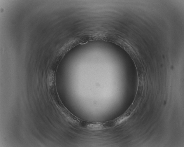 X0000086300133200704091031