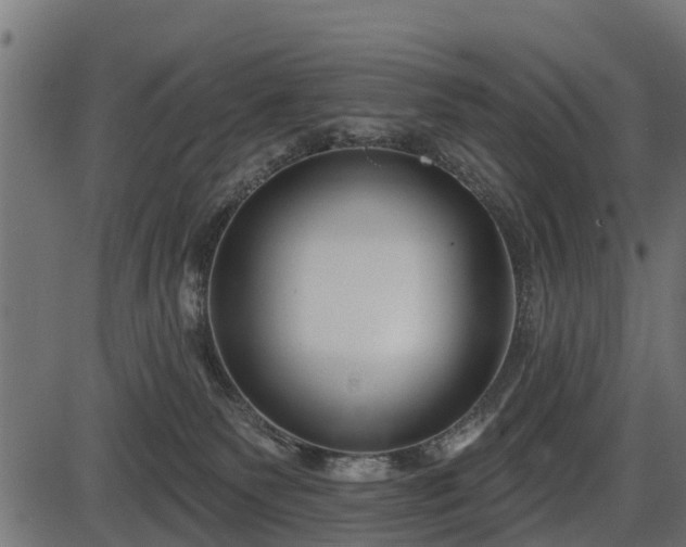 X0000086300135200704091031