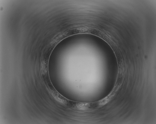 X0000086300136200704091031