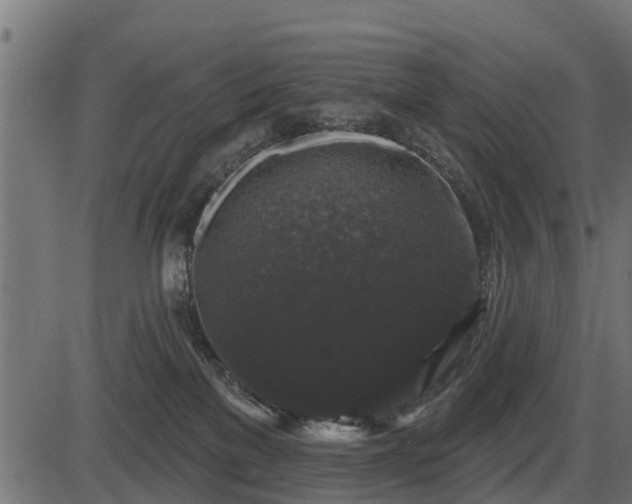 X0000086300137200704091031