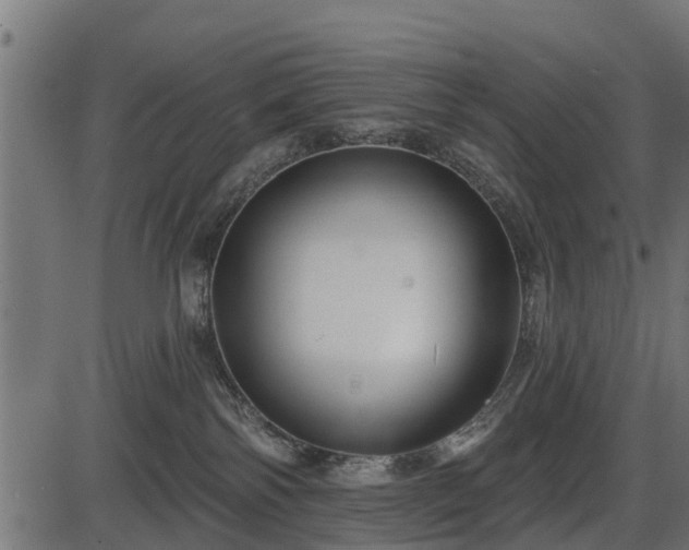 X0000086300138200704091031