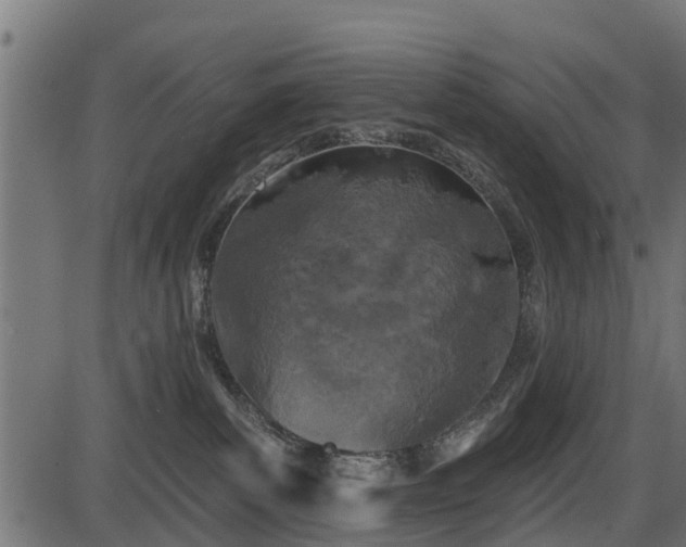 X0000086300139200704091031