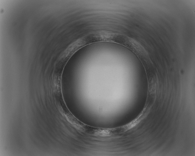 X0000086300140200704091031