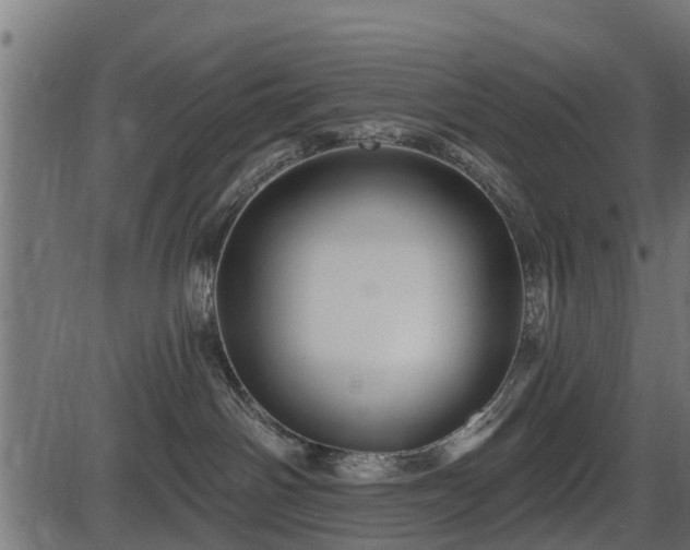 X0000086300142200704091031