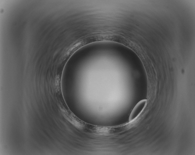 X0000086300144200704091031