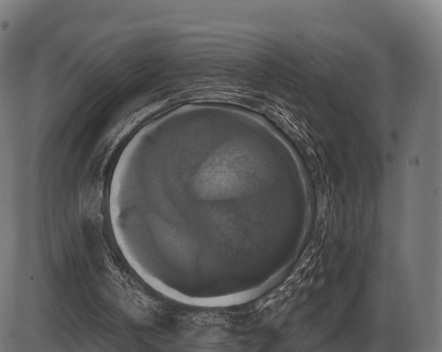 X0000086300146200704091030