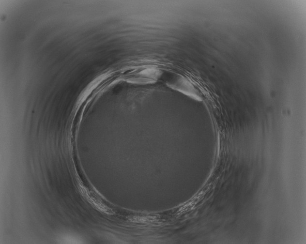 X0000086300147200704091030