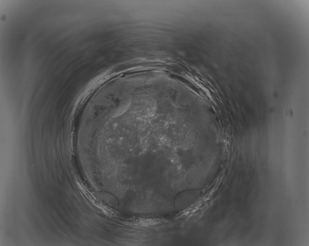 X0000086300149200704091030