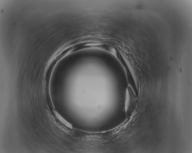 X0000086300150200704091030