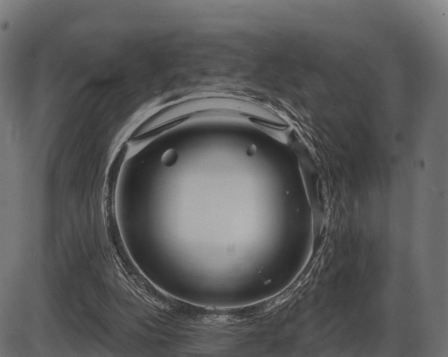 X0000086300152200704091030