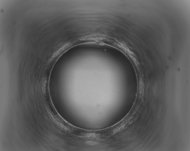 X0000086300153200704091030