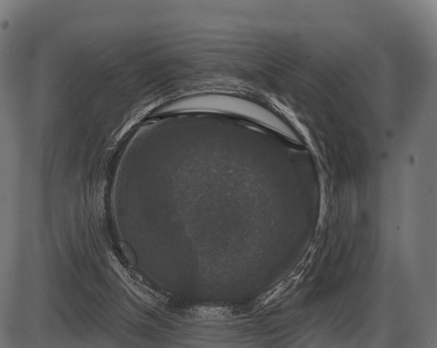 X0000086300154200704091030