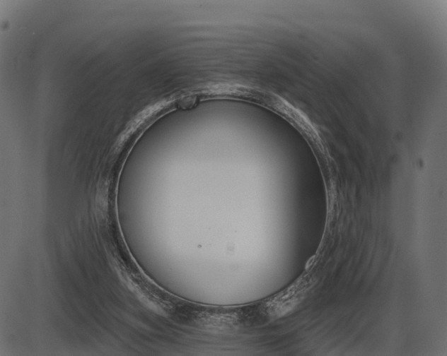 X0000086300155200704091030