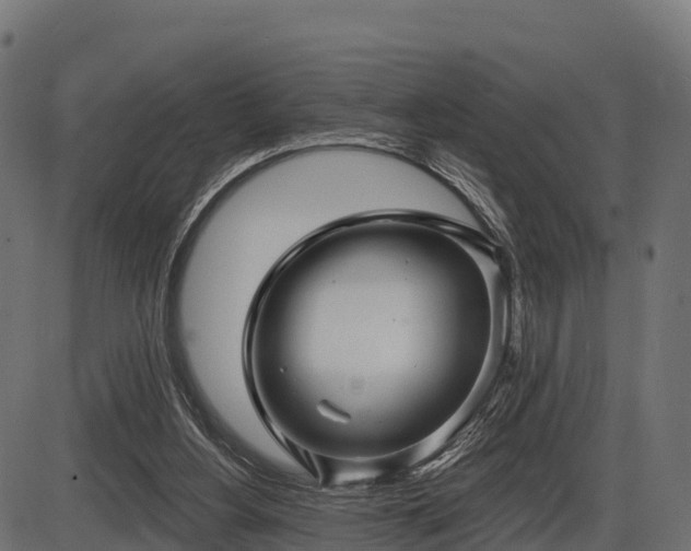 X0000086300156200704091030