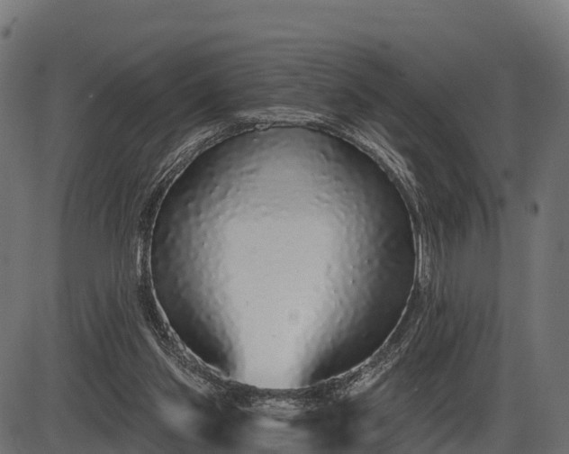 X0000086300157200704091030