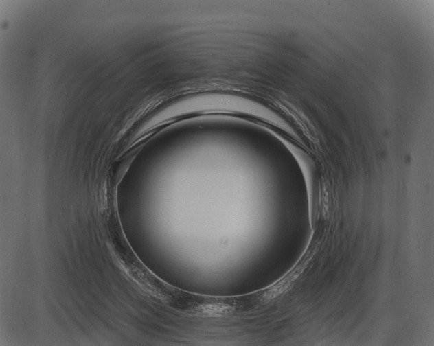 X0000086300158200704091030