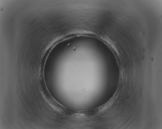 X0000086300159200704091030