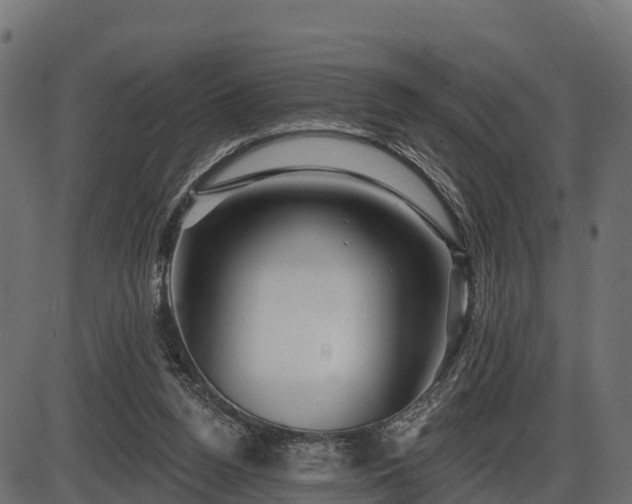 X0000086300160200704091030