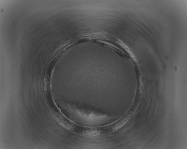 X0000086300161200704091030