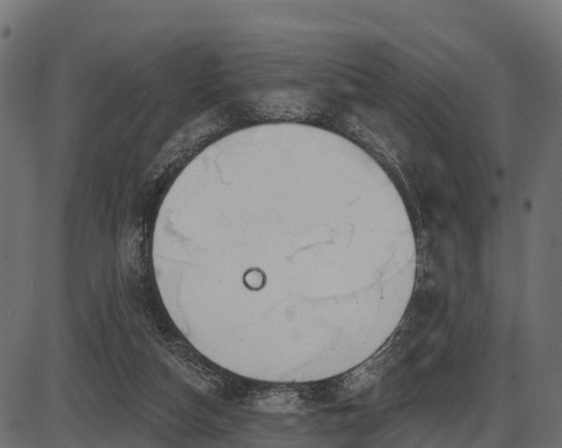 X0000086300162200704091030