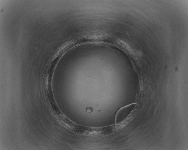 X0000086300163200704091030