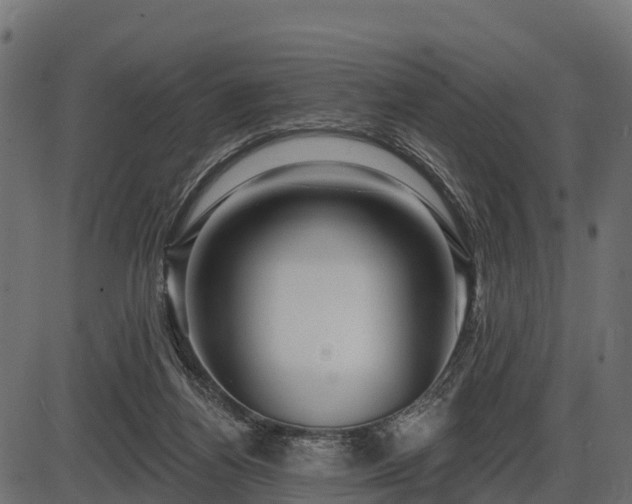 X0000086300164200704091030