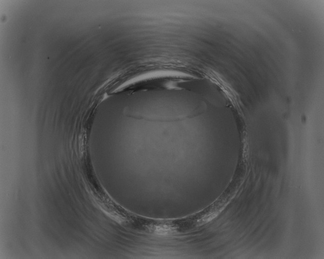 X0000086300165200704091030