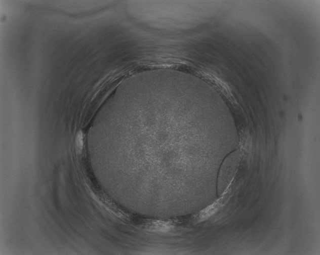 X0000086300166200704091030