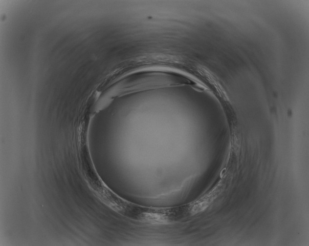 X0000086300167200704091030