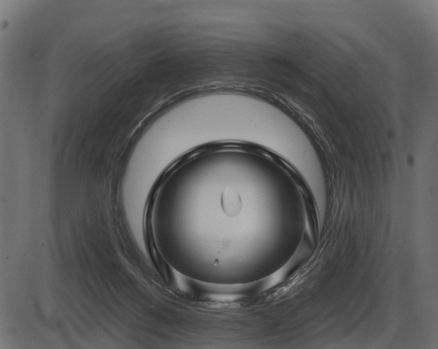 X0000086300168200704091030