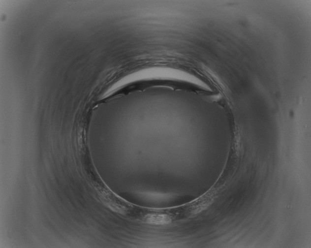 X0000086300169200704091030